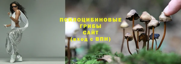 прущие крисы Алексеевка
