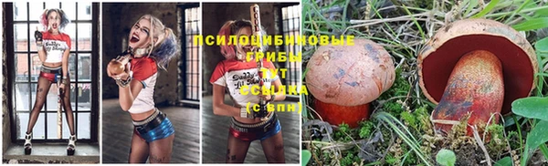 дурь Алзамай